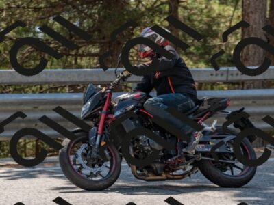 202508101446-DSC_4938_c4_