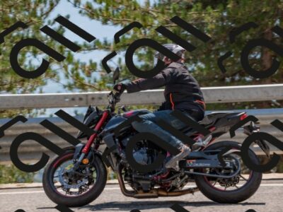 202508101446-DSC_4939_c4_