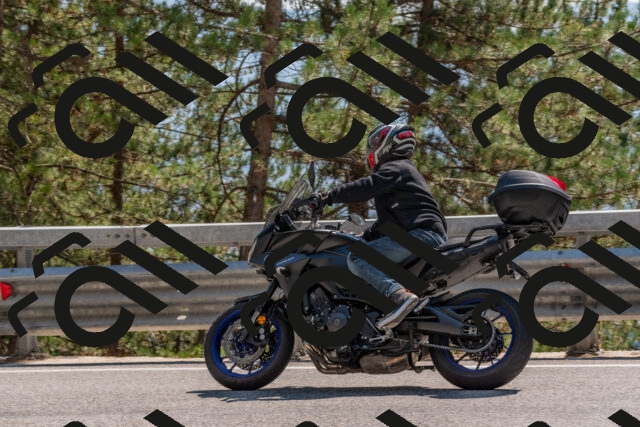 202508101503-DSC_5051_c4_