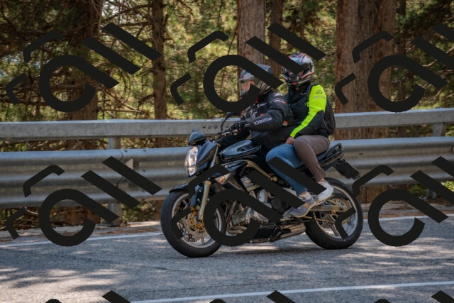 202508101504-DSC_5067_c4_