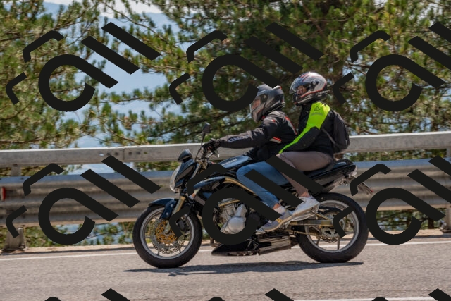 202508101504-DSC_5069_c4_