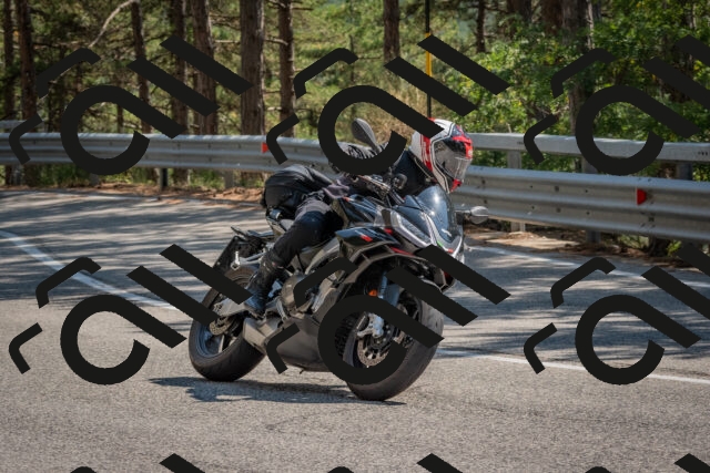 202508101504-DSC_5070_c4_