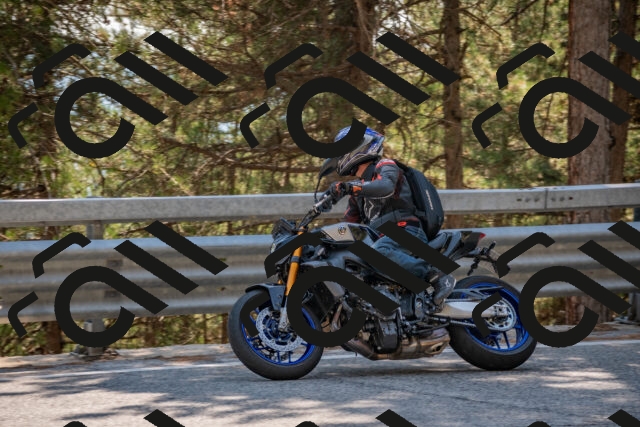 202508101506-DSC_5080_c4_