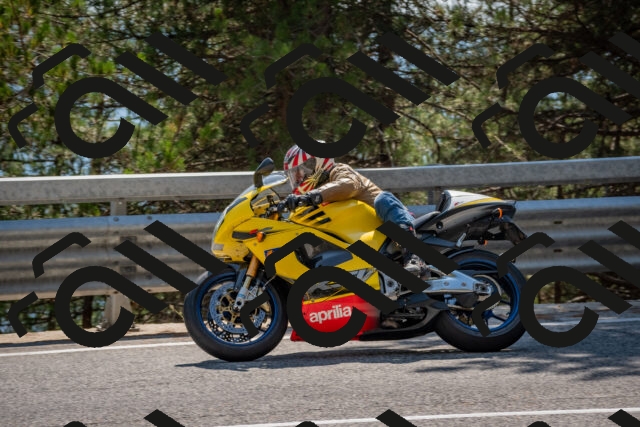 202508101507-DSC_5082_c4_