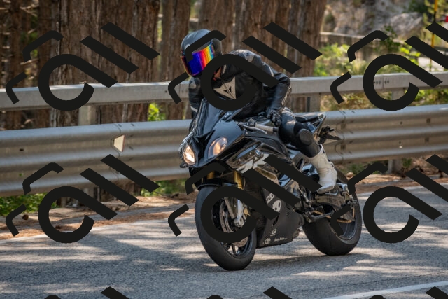 202508101510-DSC_5096_c4_