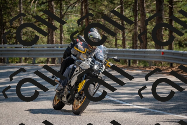 202508101512-DSC_5105_c4_