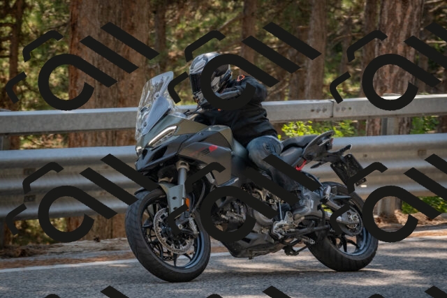 202508101515-DSC_5140_c4_