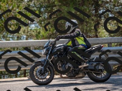 202508101516-DSC_5145_c4_