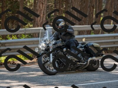 202508101517-DSC_5156_c4_