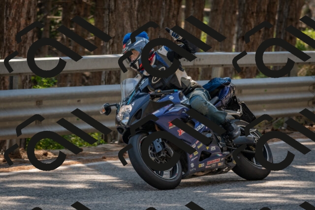 202508101520-DSC_5167_c4_