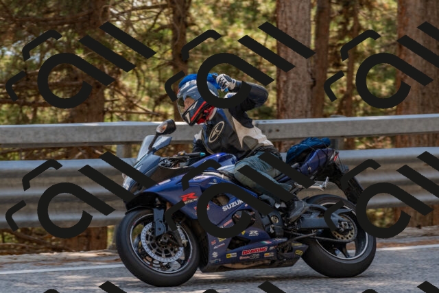 202508101520-DSC_5168_c4_