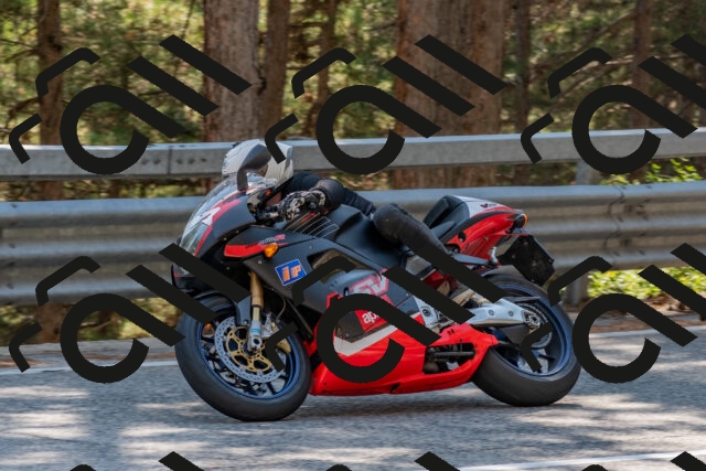 202508101522-DSC_5184_c4_