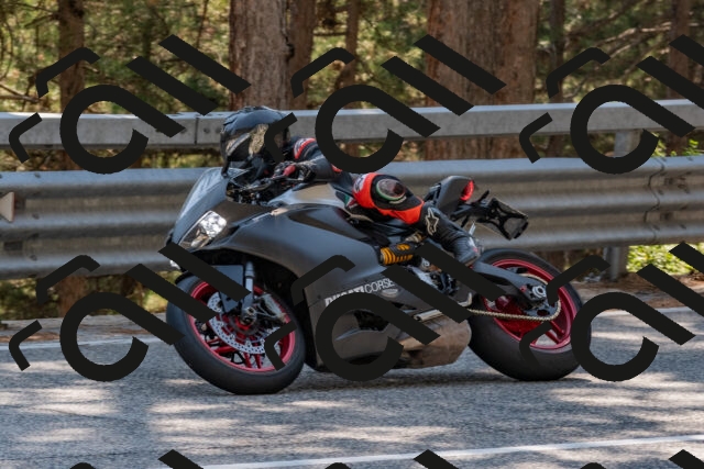 202508101522-DSC_5185_c4_