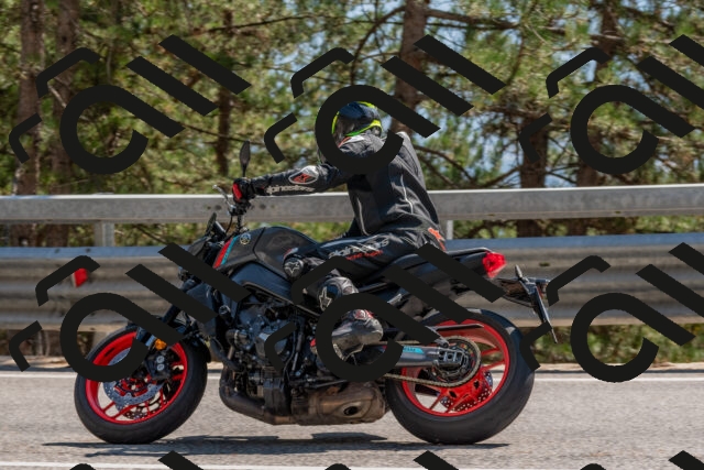 202508101522-DSC_5192_c4_