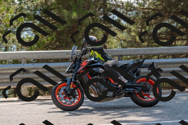 202508101522-DSC_5201_c4_