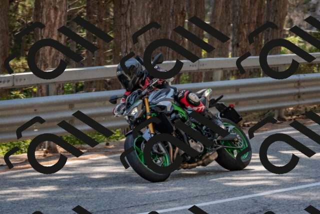 202508101522-DSC_5203_c4_