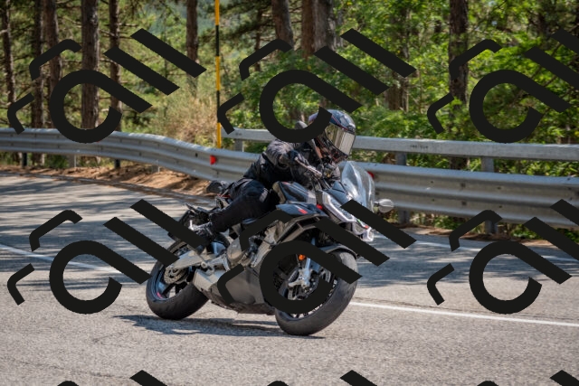 202508101523-DSC_5207_c4_