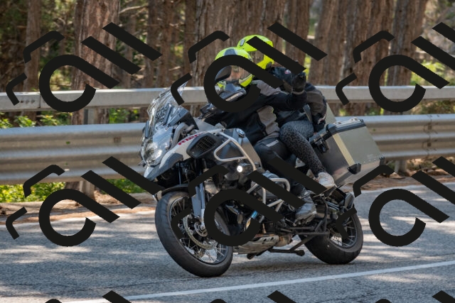 202508101523-DSC_5213_c4_