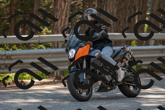 202508101530-DSC_5323_c4_