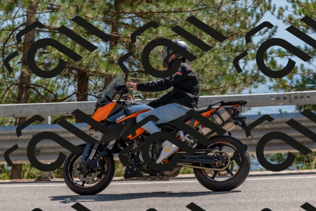 202508101530-DSC_5325_c4_