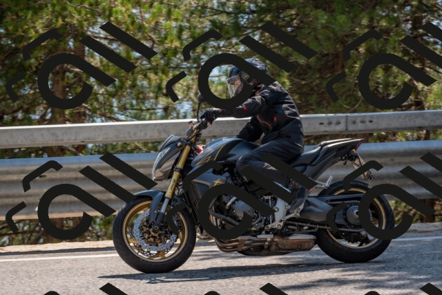 202508101530-DSC_5327_c4_