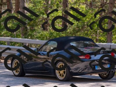 202508101534-DSC_5349_c4_