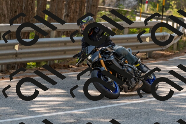 202508101535-DSC_5350_c4_