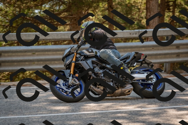 202508101535-DSC_5351_c4_