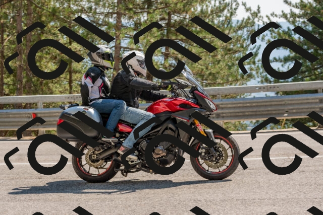 202508101536-DSC_5354_c4_