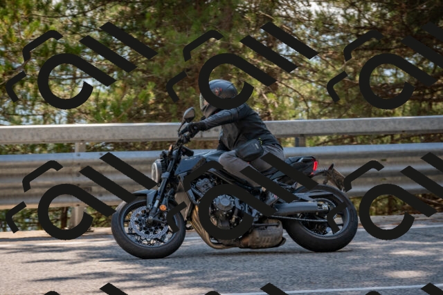 202508101538-DSC_5358_c4_