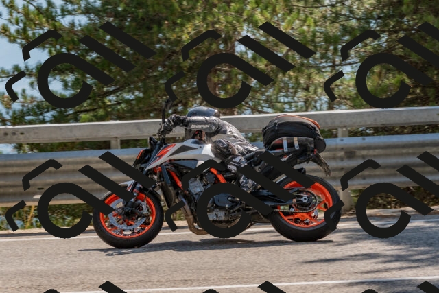 202508101538-DSC_5365_c4_