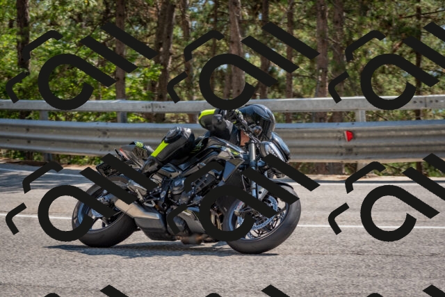 202508101539-DSC_5375_c4_