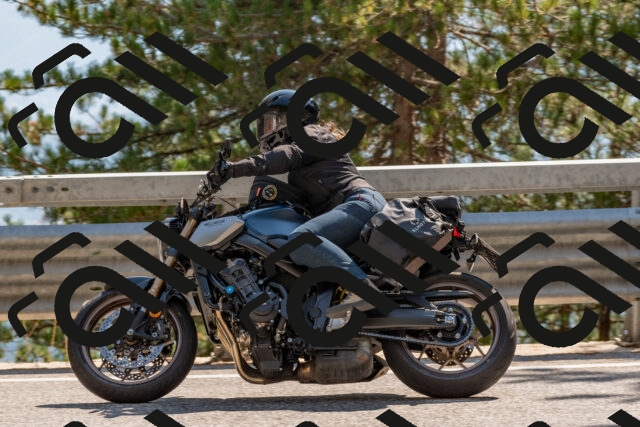 202508101539-DSC_5384_c4_