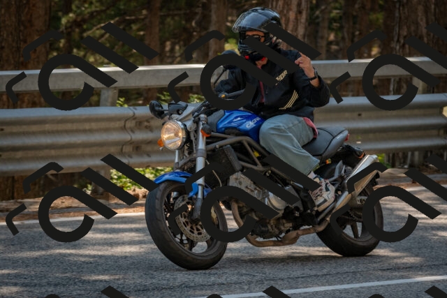 202508101539-DSC_5386_c4_