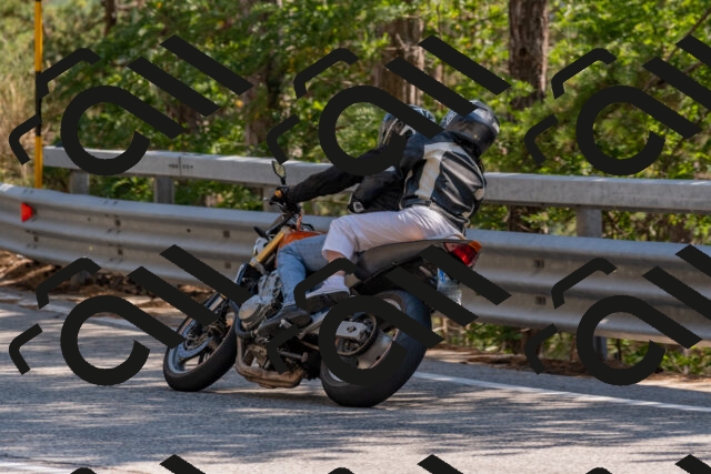 202508101539-DSC_5398_c4_