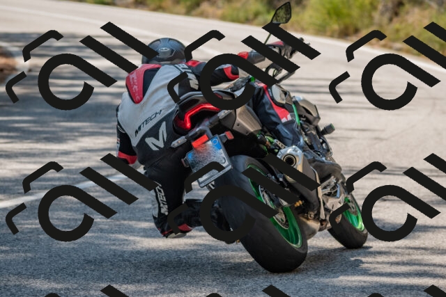 202508101539-DSC_5408_c4_