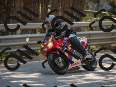 202508101549-DSC_5454_c4_