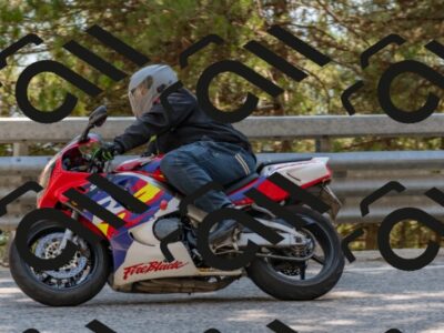 202508101549-DSC_5456_c4_