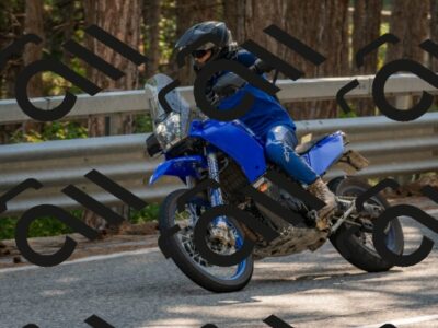 202508101620-DSC_5815_c4_