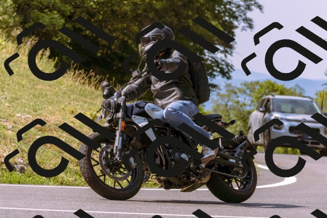 202508101050-_DSC6239_d1_