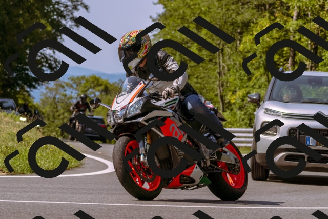 202508101050-_DSC6242_d1_