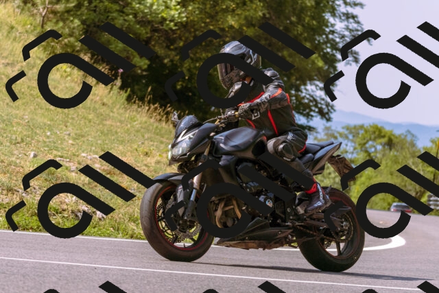 202508101050-_DSC6244_d1_