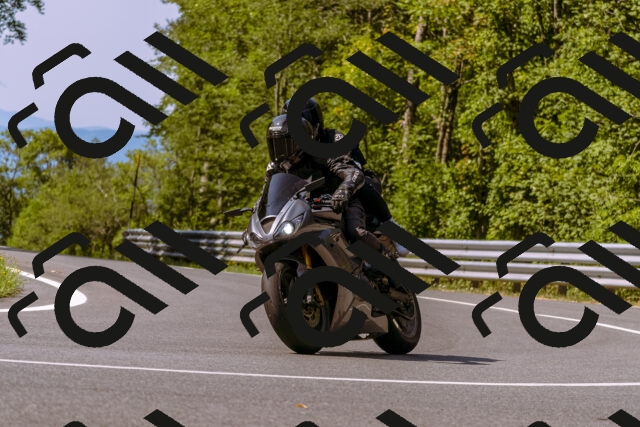 202508101050-_DSC6251_d1_