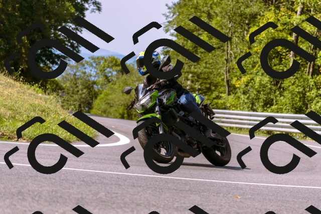 202508101050-_DSC6256_d1_