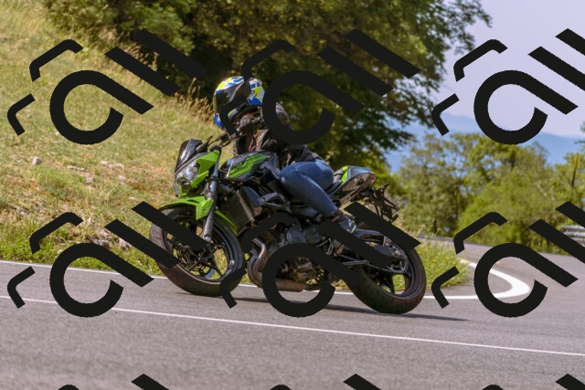 202508101050-_DSC6257_d1_