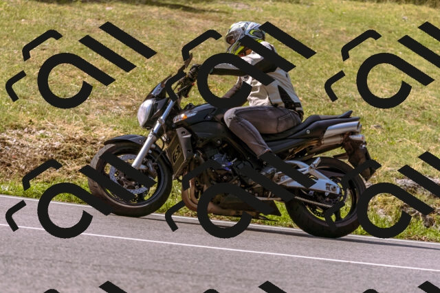 202508101051-_DSC6267_d1_