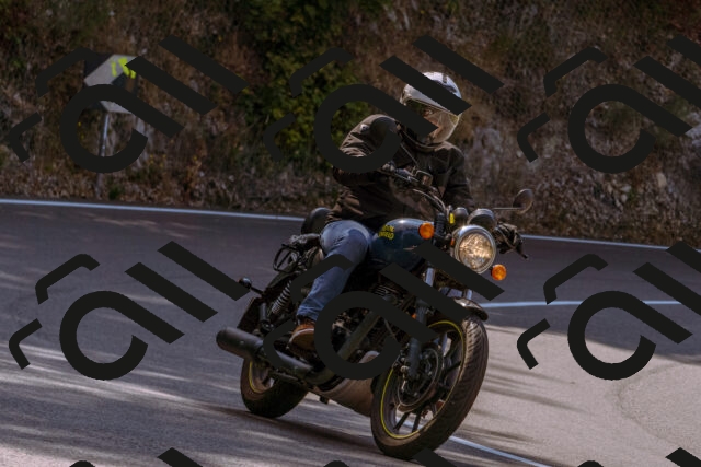 202508101052-_DSC6272_d1_