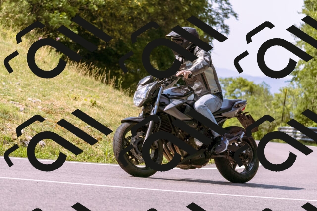 202508101053-_DSC6282_d1_