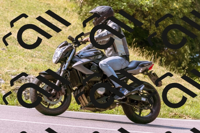 202508101053-_DSC6283_d1_