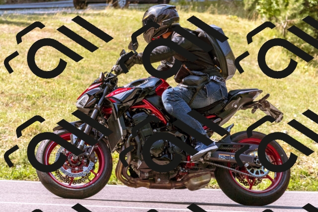 202508101053-_DSC6284_d1_